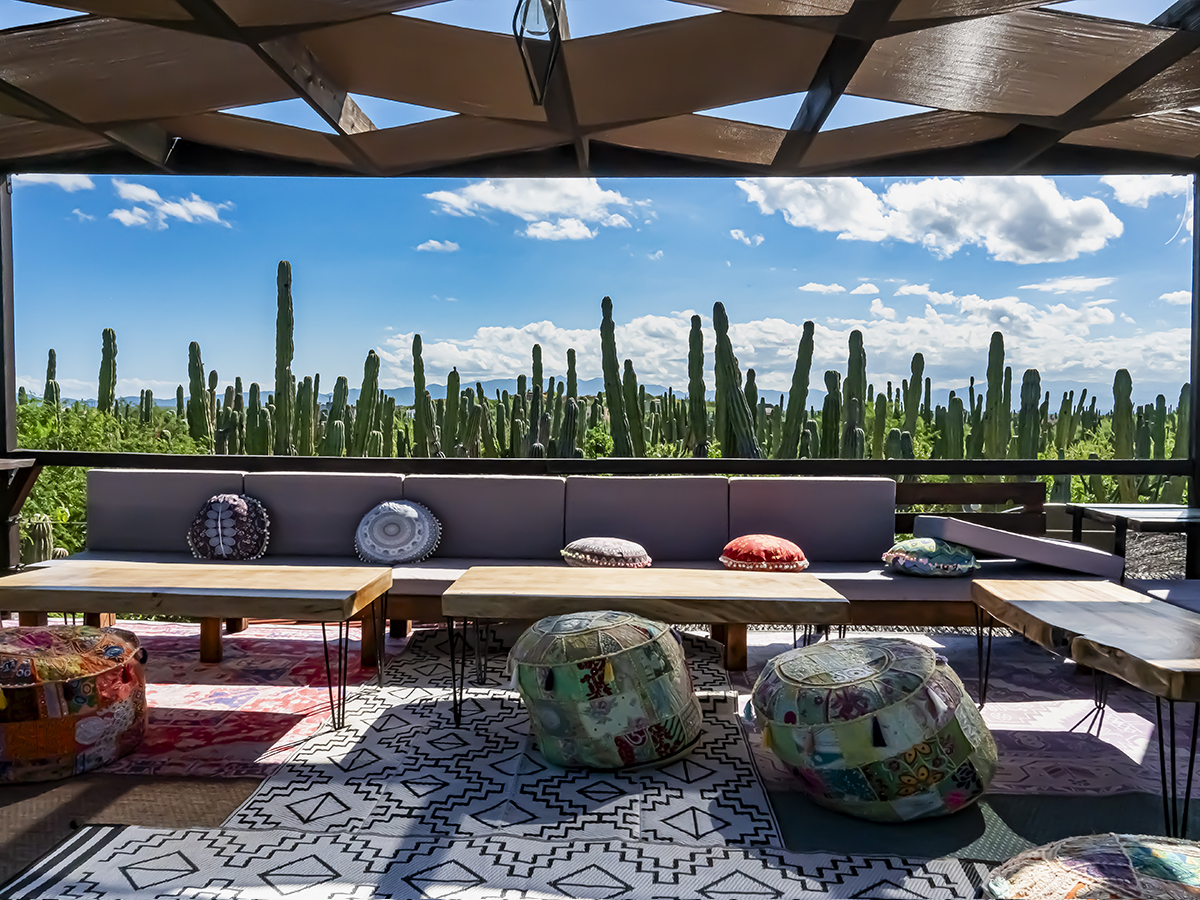 Fotograf&iacute;a de Platillos y Men&uacute;s para MarZalao Gastro Bar